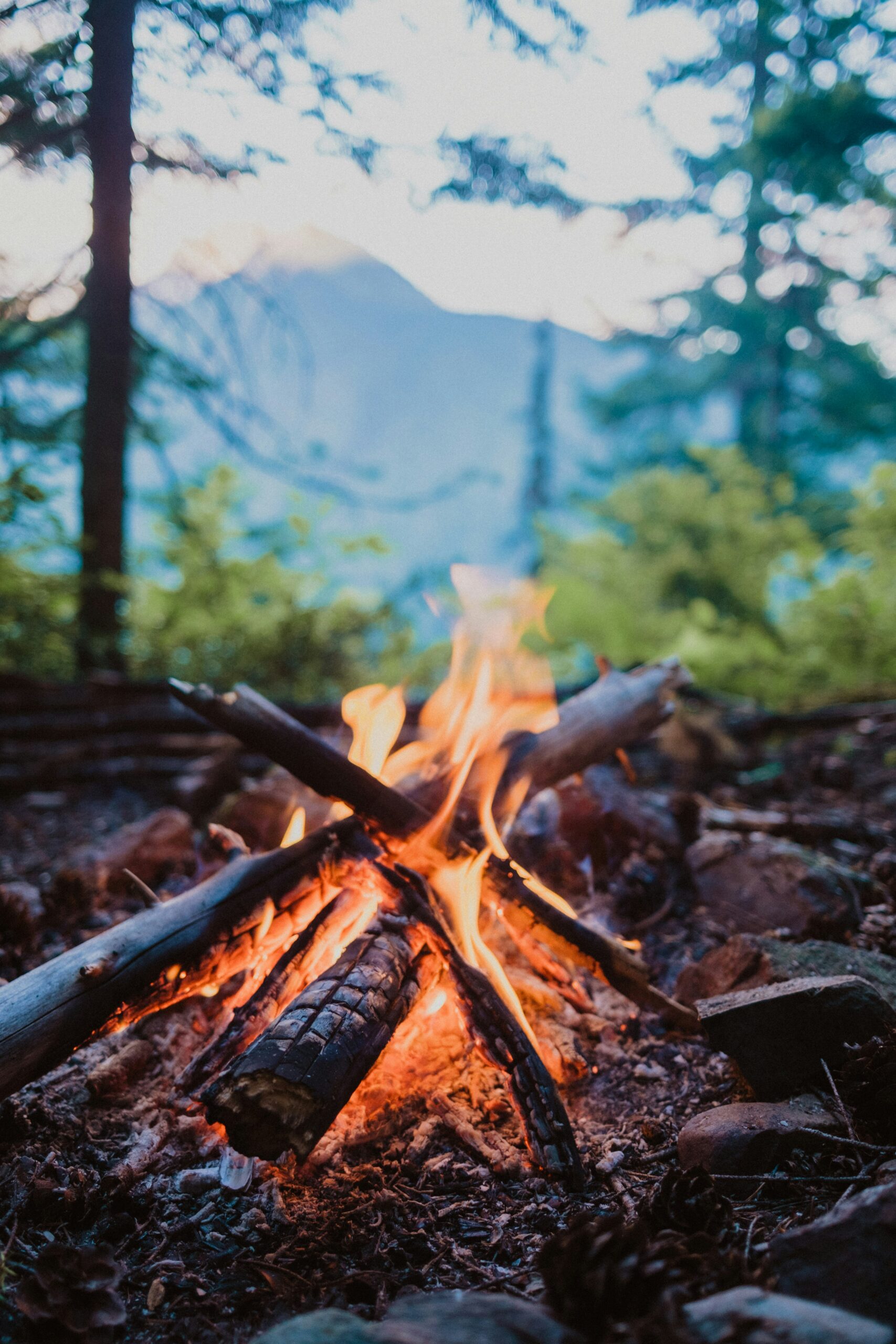 A small, controlled campfire burning between arranged logs in a forest, with a blurred mountain landscape in the background.